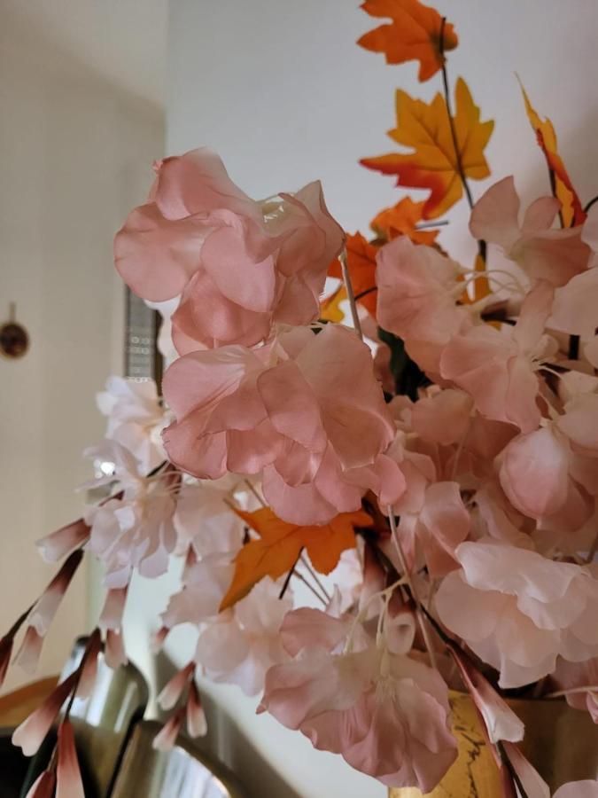 La Maison De Rose ตูรี ภายนอก รูปภาพ